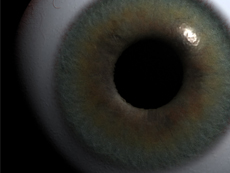 Eyeball Render