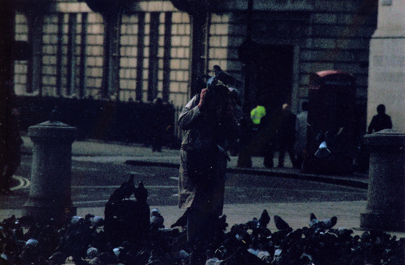 ICMSTUDIOS - A picture of a lady being swamped by pigeons in London.