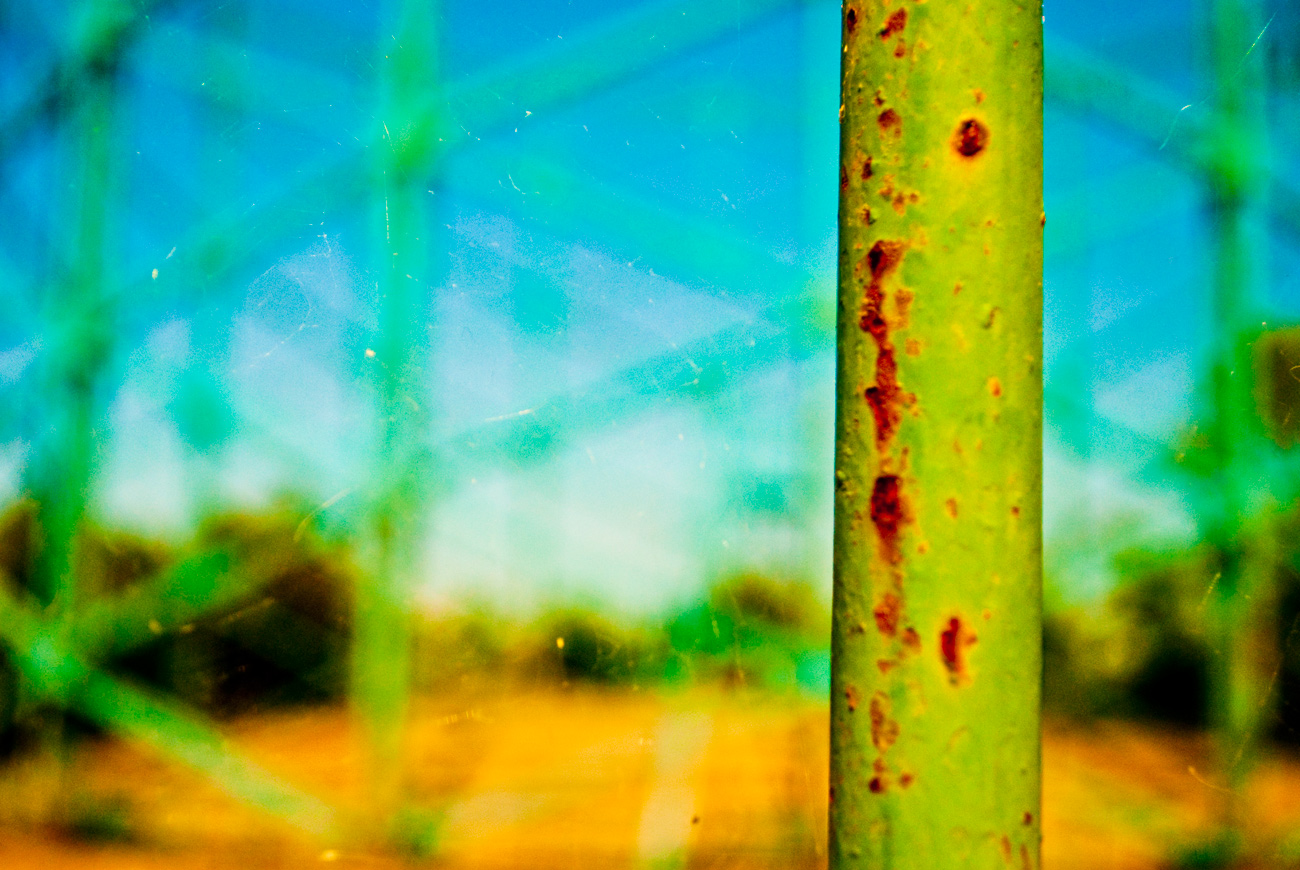 ICMSTUDIOS - Depth of field shot. Main area of focus is the bar on a gate. Raw photo edited in Photoshop. The only edit done to it was alteration of the hue, saturation and exposure