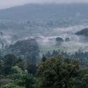 Wispy Fog windermere